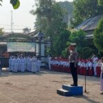Oplus_16908288